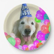 気球の誕生日のゴールデン・リトリーバー犬
