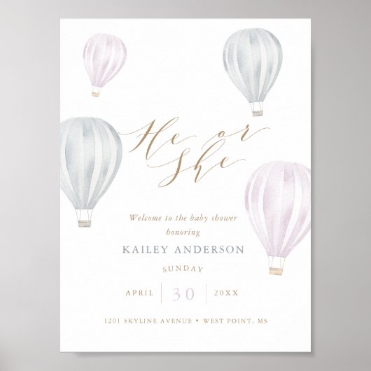 気球の赤ちゃんシャワーを性別で明かす ポスター (正面)