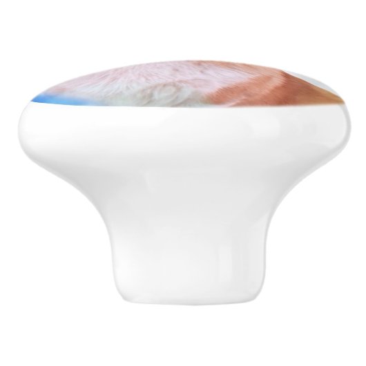 気球を持つ幸せなペンブロークのウェルシュコーギー セラミックノブ (側面)