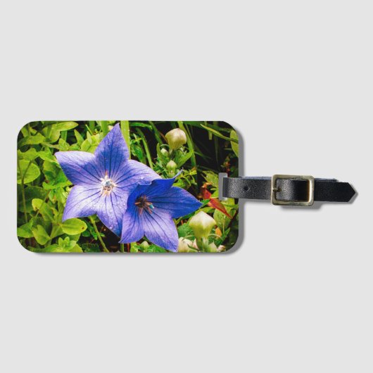 気球花の朝の結露 ラゲッジタグ (正面横)