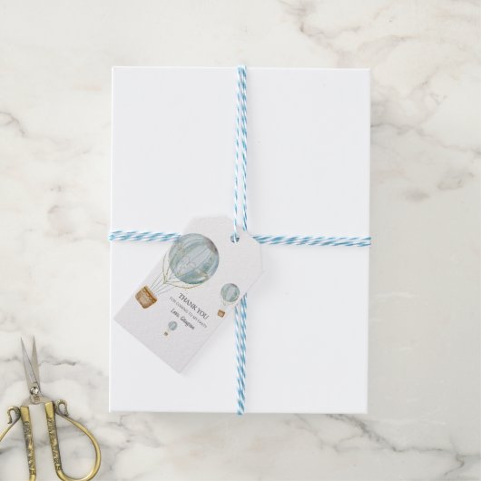 気球 水彩 感謝の気持ち ギフトタグ (より糸付き)