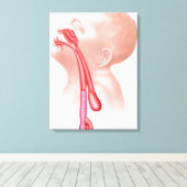 気管食道瘻構造 キャンバスプリント (インサイチュ (ウッドフロア))