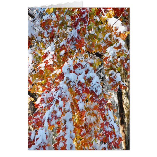 気紛れ気紛れ (正面)