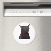 気絶猫、気絶 マグネット (インサイチュ (食洗機))