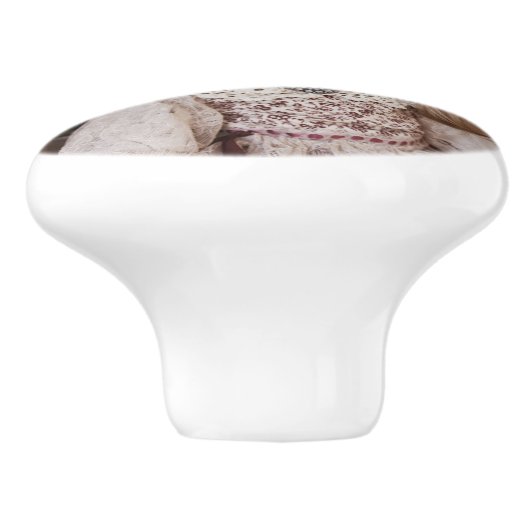 気色悪いゴシック様式磁器の人形のビクトリア時代の人のゴシック セラミックノブ (側面)