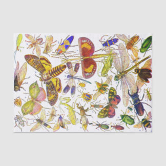 気色悪いCrawliesの昆虫のティッシュペーパー|の生物学 薄葉紙