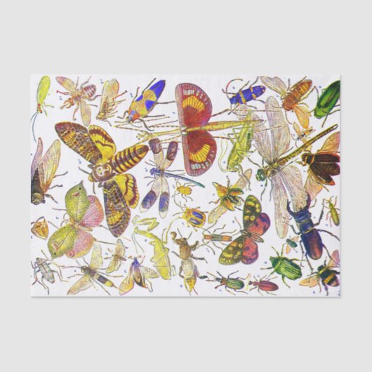 気色悪いCrawliesの昆虫のティッシュペーパー|の生物学 薄葉紙 (正面)