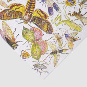 気色悪いCrawliesの昆虫のティッシュペーパー|の生物学 薄葉紙 (詳細)