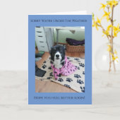 気象品質のカードの下であなたは申し訳ない カード (黄色い花)