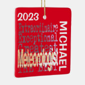 気象学者カスタム異常 セラミックオーナメント (右)