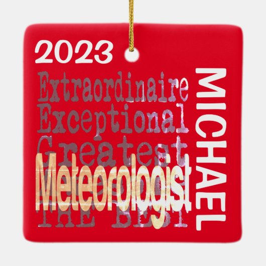 気象学者カスタム異常 セラミックオーナメント (裏面)