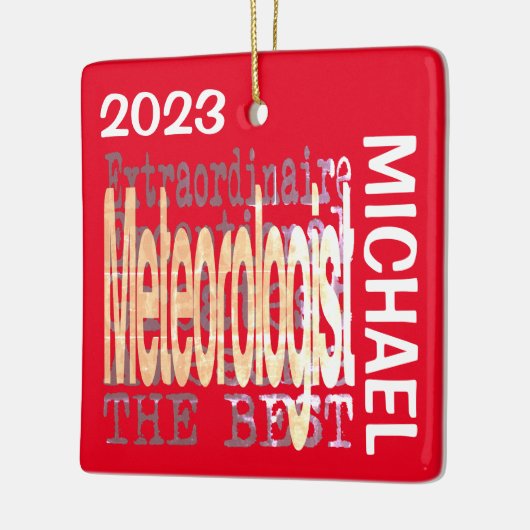 気象学者カスタム異常 セラミックオーナメント (左)