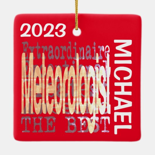 気象学者カスタム異常 セラミックオーナメント (裏面)