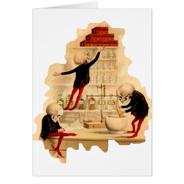 気違いの科学者の骨組 (正面)