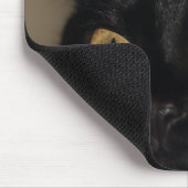 気違い猫のマウスパッド マウスパッド (コーナー)