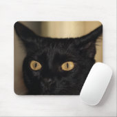気違い猫のマウスパッド マウスパッド (マウス)