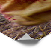 気鋭スタイルポスター ポスター (角)