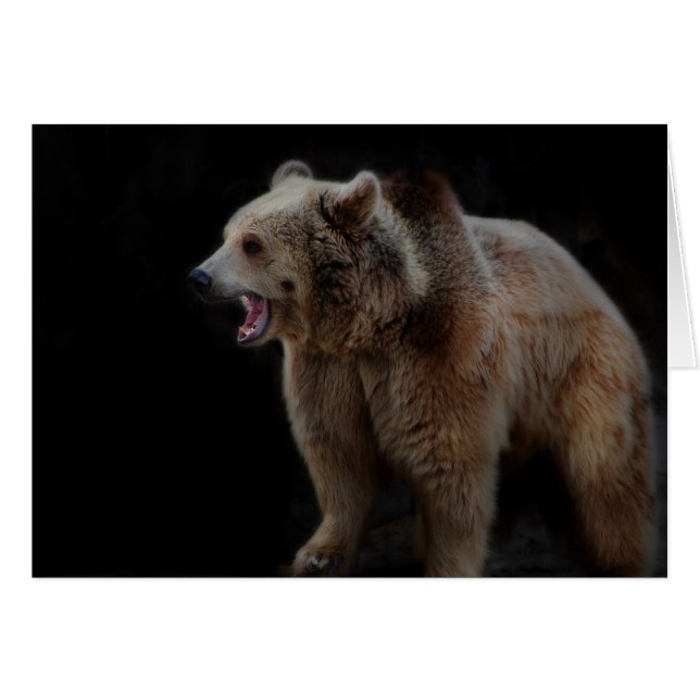 気難しいくま! (正面横)