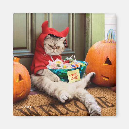 気難しいデビルキャット マグネット (正面)