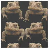 気難しいヒキガエルの生地 ファブリック (クローズアップ)