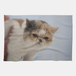 気難しい顔猫 キッチンタオル