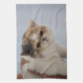 気難しい顔猫 キッチンタオル (縦)