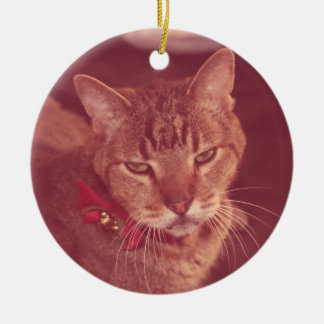 気難しく古く耳が聞こえない虎猫のオーナメント セラミックオーナメント