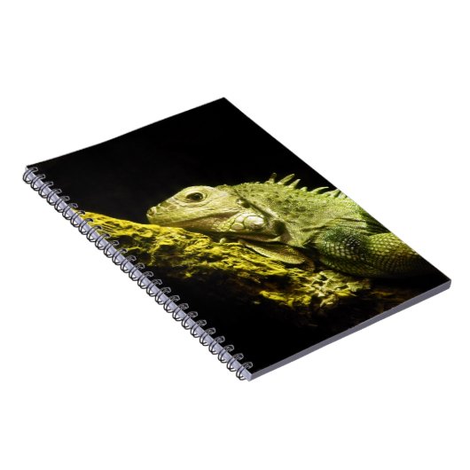 気高いイグアナのノート ノートブック (右側)