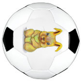 水うさぎ サッカーボール (回転)