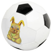 水うさぎ サッカーボール (3/4)