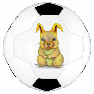 水うさぎ サッカーボール