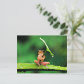 水おもしろいを怖がるカエル ポストカード (スタンド正面)