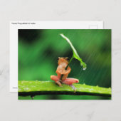 水おもしろいを怖がるカエル ポストカード (正面/裏面)