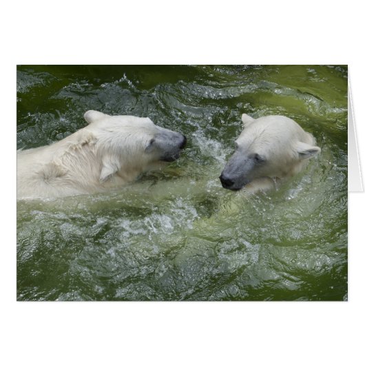 水おもしろい極熊 (正面横)