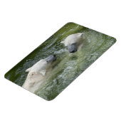 水おもしろい極熊 マグネット (左側)