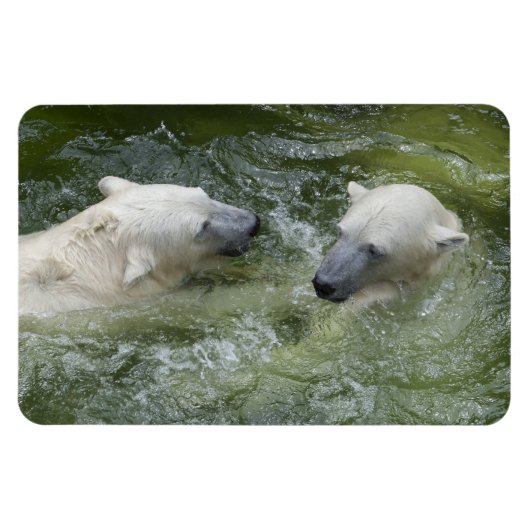 水おもしろい極熊 マグネット (横)