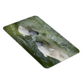 水おもしろい極熊 マグネット (右側)