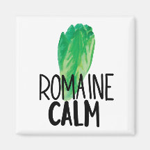 水おもしろい色レタス