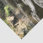 水および木 薄葉紙 (詳細)