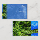 水および草-ビジネス 名刺 (正面/裏面)