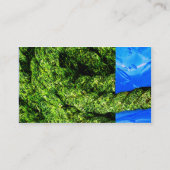 水および草-ビジネス 名刺 (裏面)