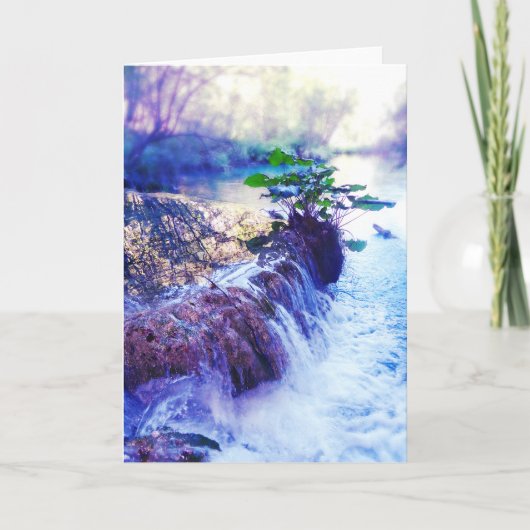 水かすみ カード (正面)