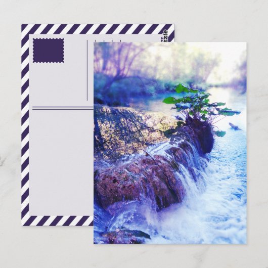 水かすみ ポストカード (正面/裏面)