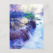 水かすみ ポストカード (正面)