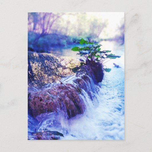 水かすみ ポストカード (正面)