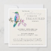 水かわいらし色ハミングバードお祝いの生活 招待状 (裏面)