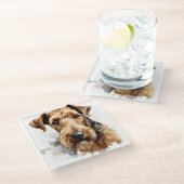 水かわいらし色ブラック&タンアイレデールテリア犬 ガラスコースター (アングル)