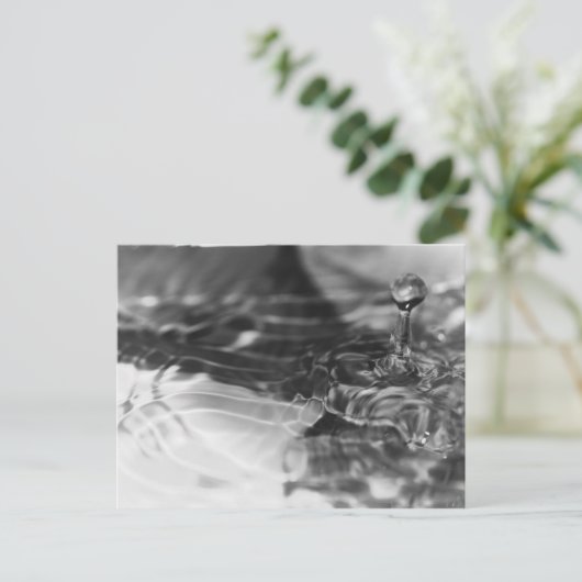 水かわいらし ポストカード (スタンド正面)