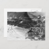 水かわいらし ポストカード (正面/裏面)