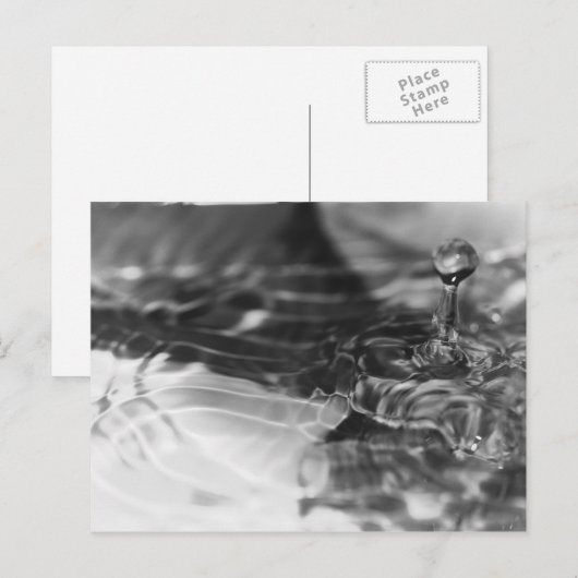 水かわいらし ポストカード (正面/裏面)